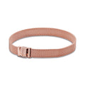 Pandora Reflexions Mesh Bracelet